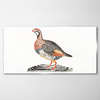 Schilderij op glas Vogelachtige elegantie in pastelkleuren