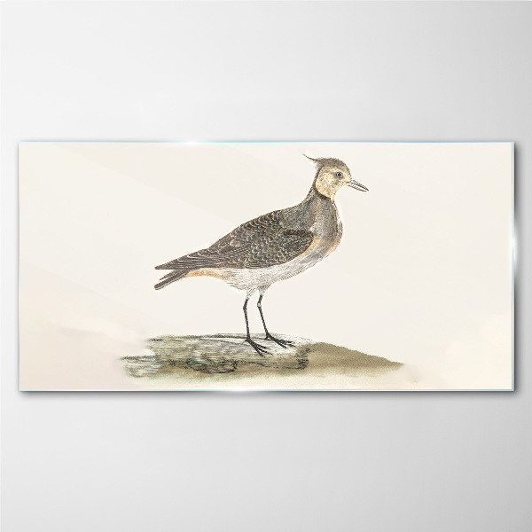 Schilderij op glas Een elegante vogel tegen een natuurlijke achtergrond