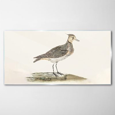 Schilderij op glas Een elegante vogel tegen een natuurlijke achtergrond