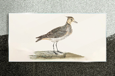 Schilderij op glas Een elegante vogel tegen een natuurlijke achtergrond