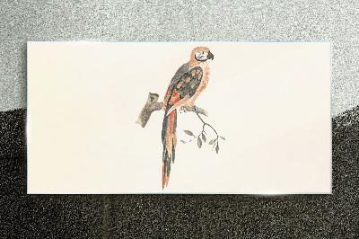 Glas foto Een papegaai op een tak