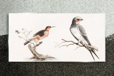 Glas foto Vogels op de takken