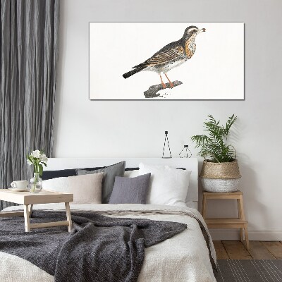 Foto op glas Een vogel op een tak