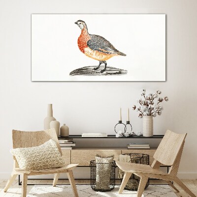 Glas foto Een vrolijke vogel op een witte achtergrond