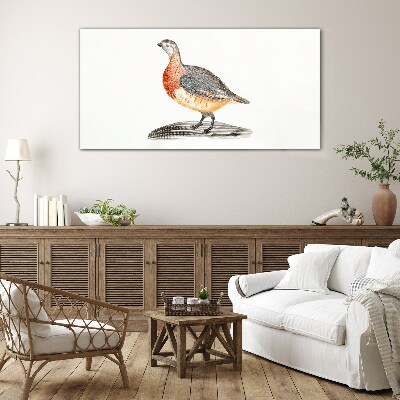 Glas foto Een vrolijke vogel op een witte achtergrond