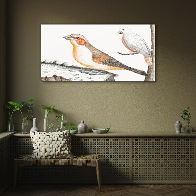 Foto op glas Vogelduet op een tak