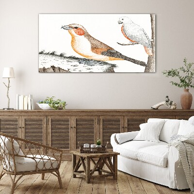 Foto op glas Vogelduet op een tak