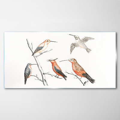 Schilderij op glas Kleurrijke vogels op een tak