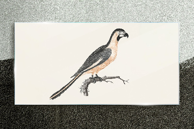 Schilderij op glas Een vogel op een tak