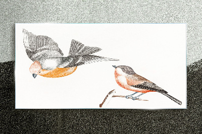 Glas foto Vogels in vlucht en op een tak