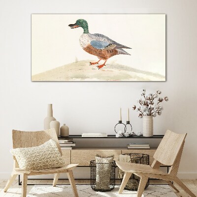 Schilderij op glas Een eend tegen een achtergrond van delicate kleuren