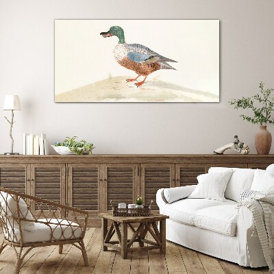 Schilderij op glas Een eend tegen een achtergrond van delicate kleuren