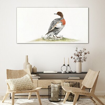 Schilderij op glas Eend tegen een natuurlijke achtergrond