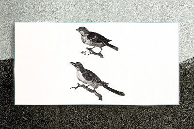 Foto op glas Vogels op een tak