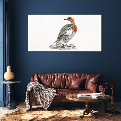 Glas foto Roodhalseend op een witte achtergrond