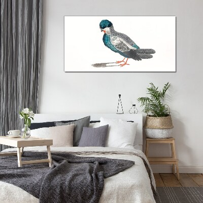 Glas foto Kleurrijke vogel op een witte achtergrond