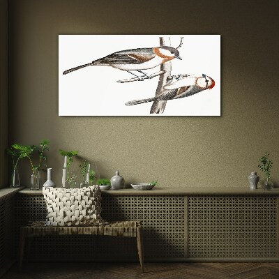 Schilderij op glas Nachtegalen op een tak