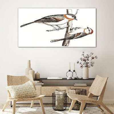 Schilderij op glas Nachtegalen op een tak