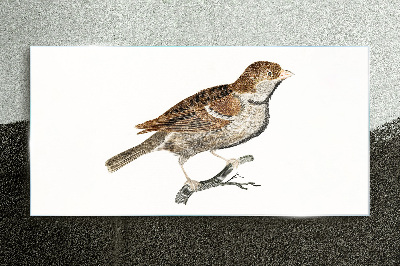 Foto op glas Een gevleugelde vriend in een natuurlijke stijl