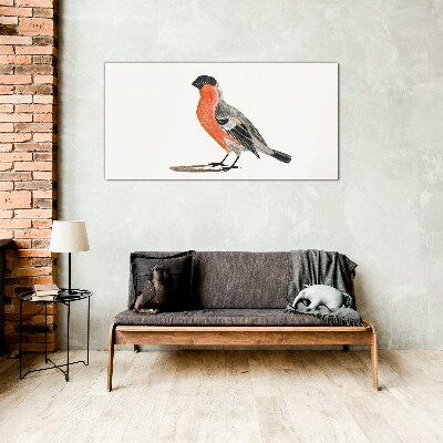 Schilderij op glas Robin tegen een witte achtergrond