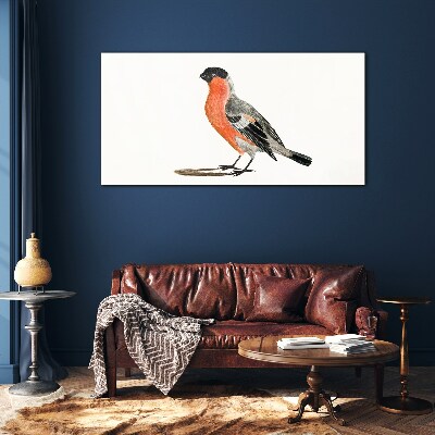 Schilderij op glas Robin tegen een witte achtergrond