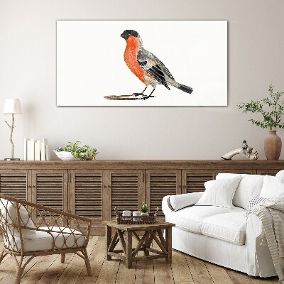 Schilderij op glas Robin tegen een witte achtergrond
