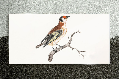 Glas foto Een vogel op een tak