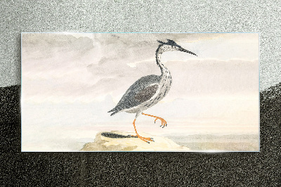 Foto op glas Een trekvogel tegen de achtergrond van de natuur