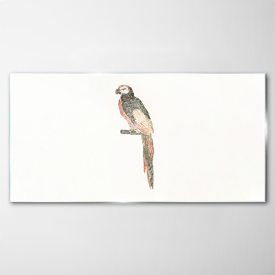 Schilderij op glas Een vogel op een tak