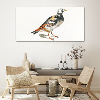 Foto op glas Vogel op een witte achtergrond