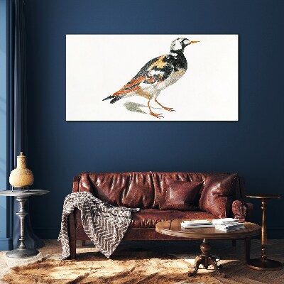 Foto op glas Vogel op een witte achtergrond