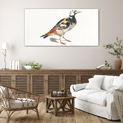 Foto op glas Vogel op een witte achtergrond