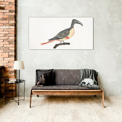 Schilderij op glas Toekan op een tak