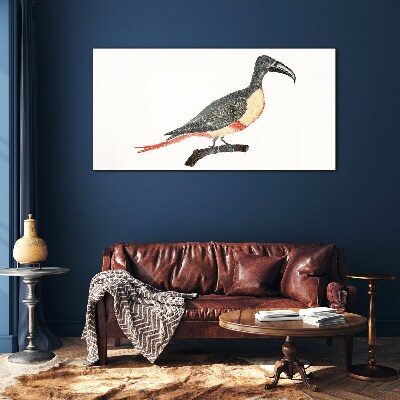 Schilderij op glas Toekan op een tak