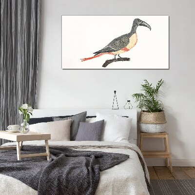 Schilderij op glas Toekan op een tak