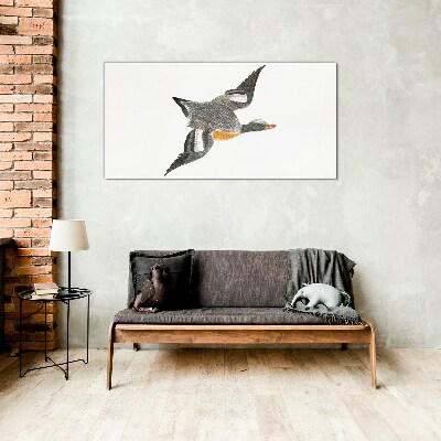 Foto op glas Vliegende gans in de kleuren van de natuur