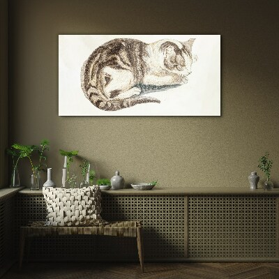 Schilderij op glas Slaperige kat op een witte achtergrond