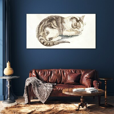 Schilderij op glas Slaperige kat op een witte achtergrond