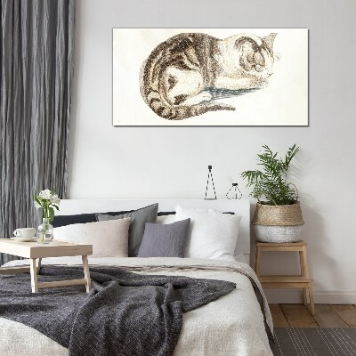 Schilderij op glas Slaperige kat op een witte achtergrond