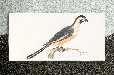 Foto op glas Een vogel op een tak