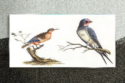 Glas foto Vogels op een tak