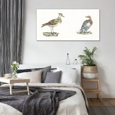 Glas foto Kleurrijke vogels op een witte achtergrond