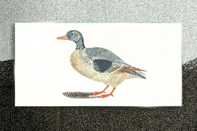 Schilderij op glas Eend in pasteltinten