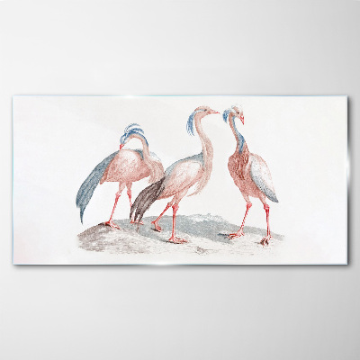 Glas foto Drie roze flamingo's op een witte achtergrond