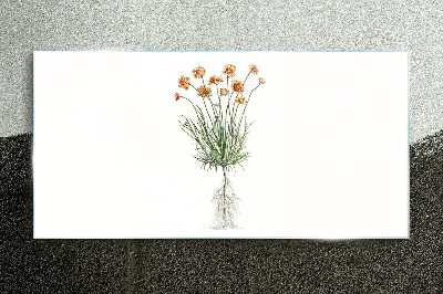 Schilderij op glas Bloemen met wortels