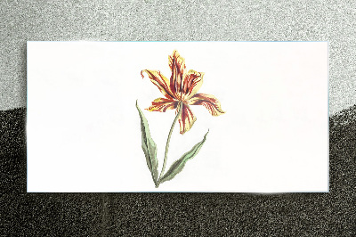 Foto op glas Bloemencompositie in warme kleuren