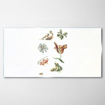 Foto op glas Bloemeninspiraties in delicate kleuren