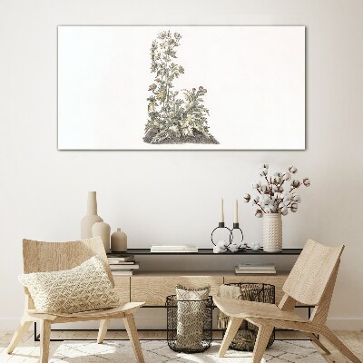 Schilderij op glas Planten in zacht licht