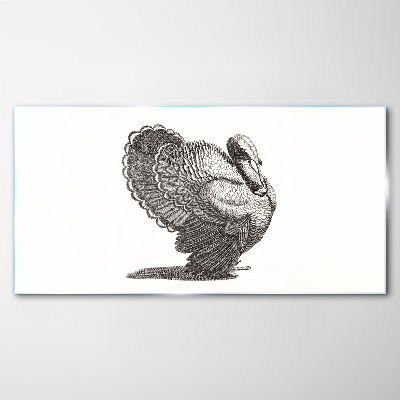 Schilderij op glas De elegantie van kalkoen in detail