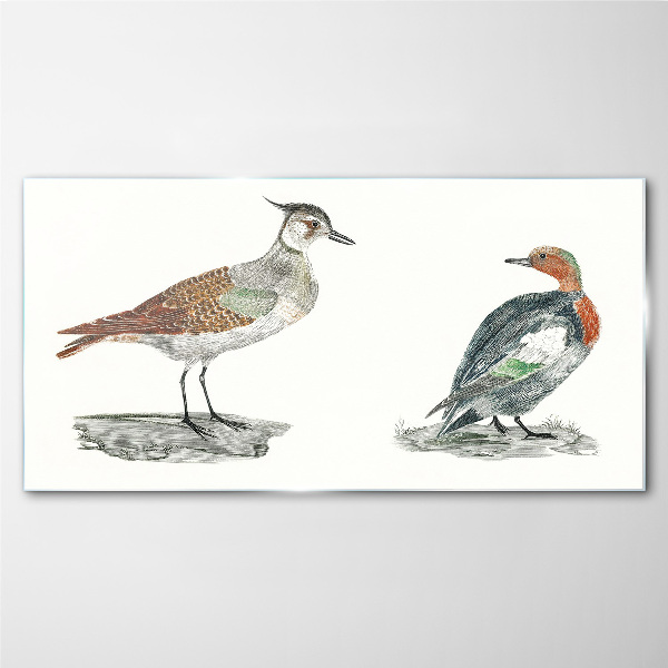 Schilderij op glas Vogels in de kleuren van de natuur